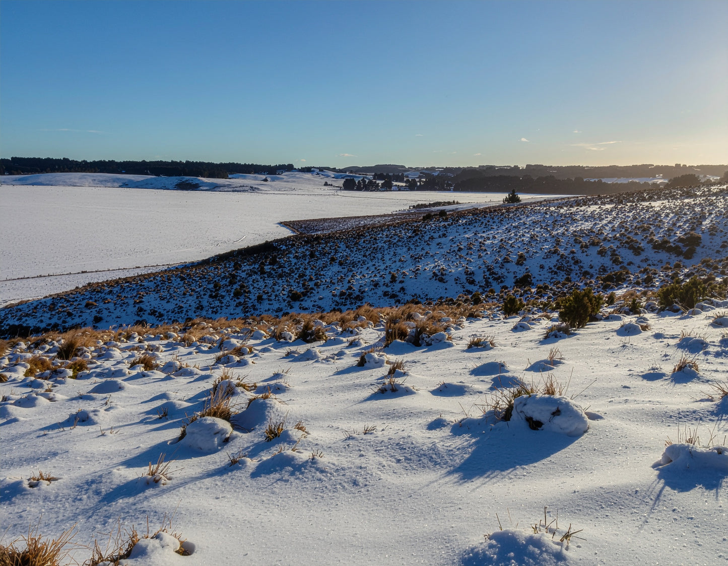 Ai generated artwork