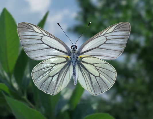 Ai generated artwork