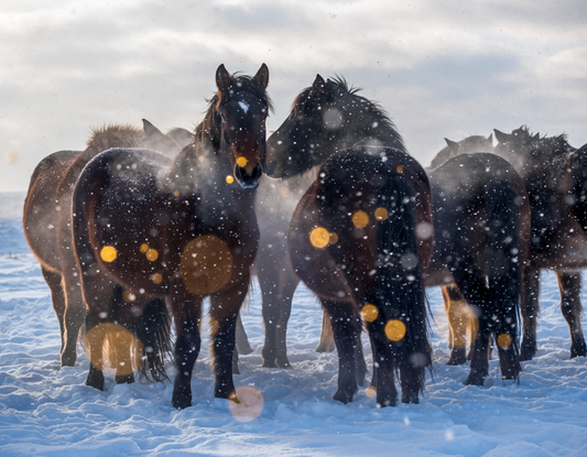 Ai generated artwork