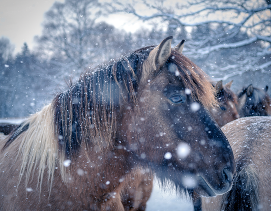 Ai generated artwork